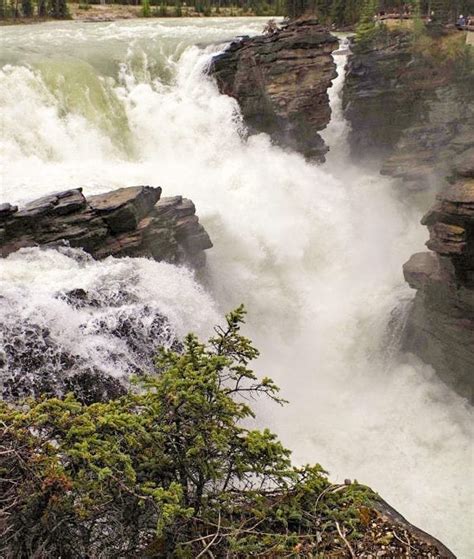 jilly juice waterfalls.